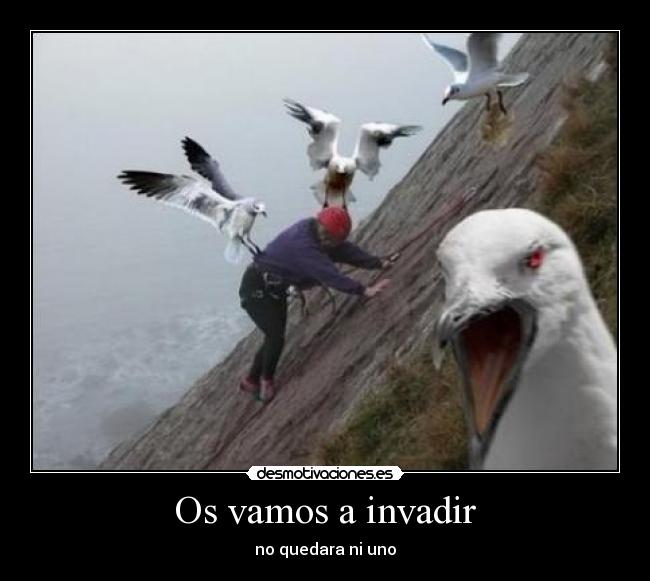 Os vamos a invadir - 