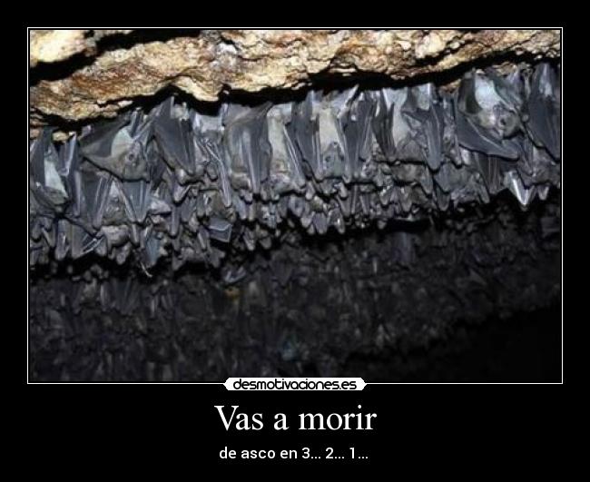 Vas a morir - de asco en 3... 2... 1... 