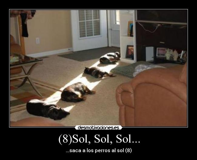 (8)Sol, Sol, Sol... - ...saca a los perros al sol (8)