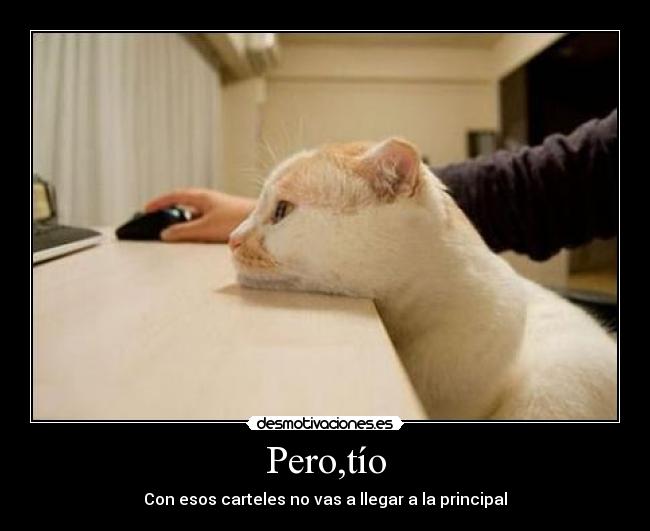 carteles gato desmotivaciones cartel walt_k hombre desmotivaciones