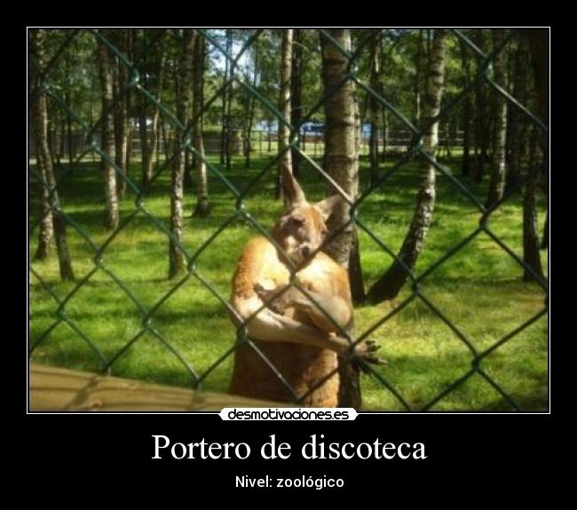 Portero de discoteca -