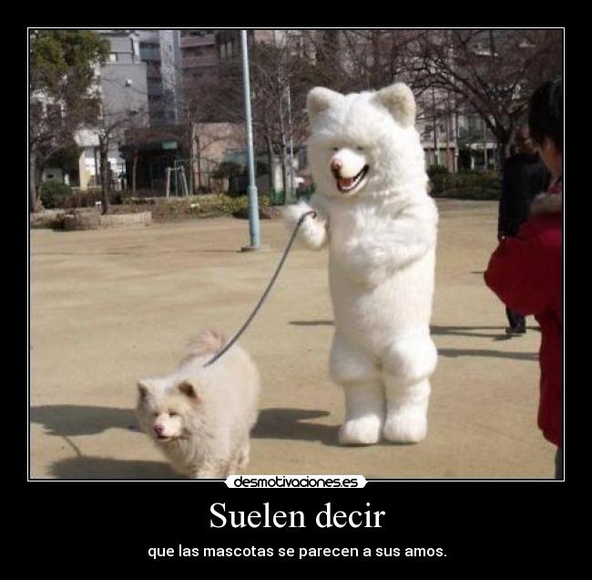 Suelen decir -