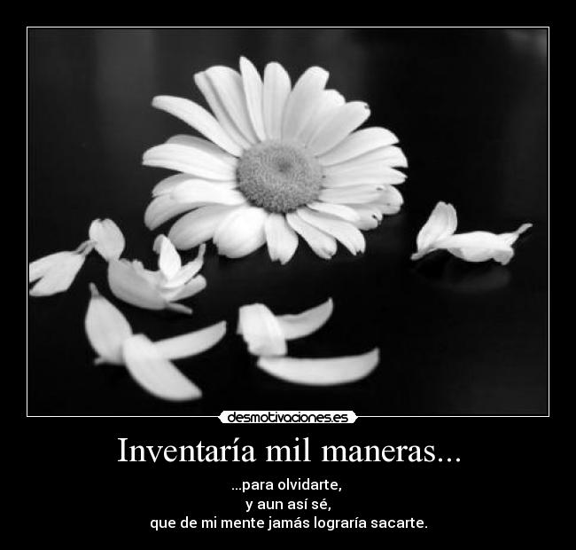 carteles olvidar amor perdon lograr desmotivaciones