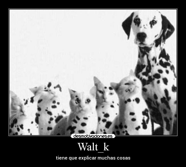 Walt_k - tiene que explicar muchas cosas