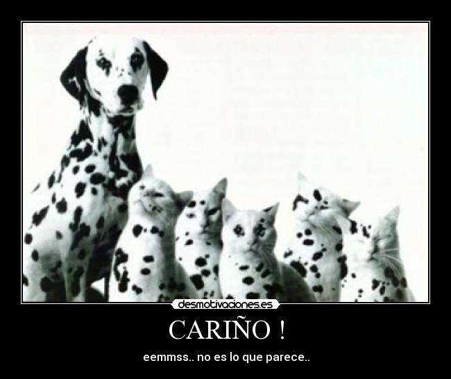 CARIÑO ! - eemmss.. no es lo que parece..