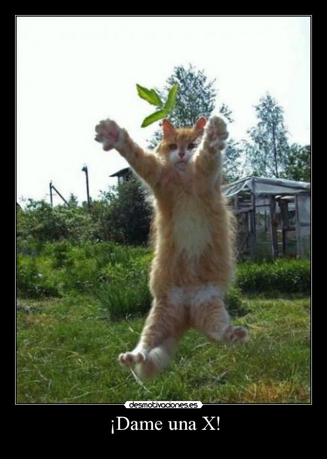 ¡Dame una X! -
