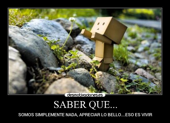 SABER QUE... - SOMOS SIMPLEMENTE NADA, APRECIAR LO BELLO....ESO ES VIVIR