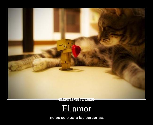 El amor - 