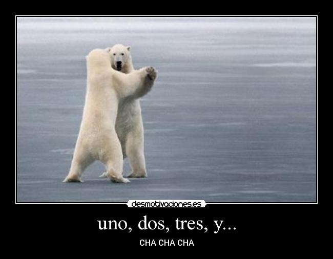 uno, dos, tres, y... - CHA CHA CHA