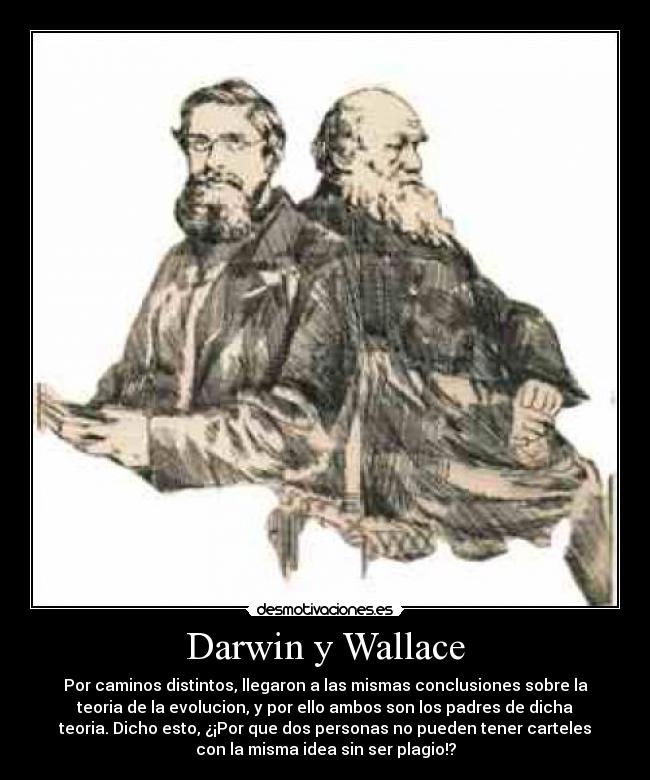 Darwin y Wallace - Por caminos distintos, llegaron a las mismas conclusiones sobre la
teoria de la evolucion, y por ello ambos son los padres de dicha
teoria. Dicho esto, ¿¡Por que dos personas no pueden tener carteles
con la misma idea sin ser plagio!?