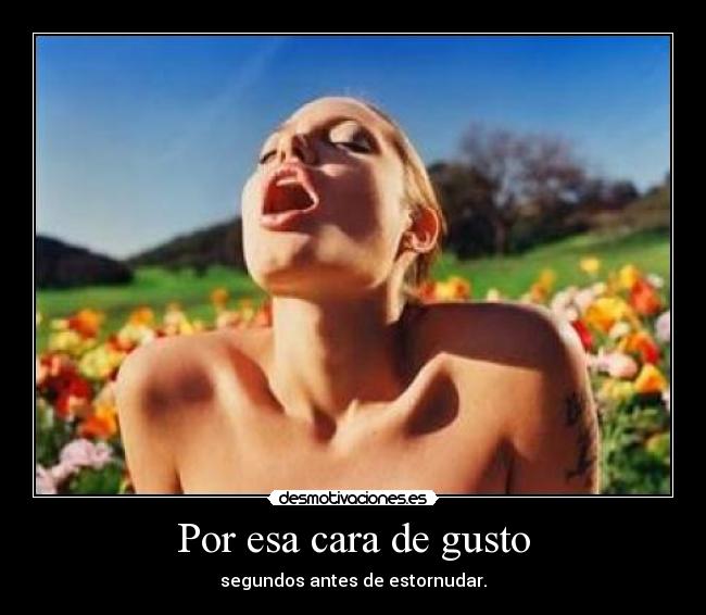 Por esa cara de gusto - segundos antes de estornudar.