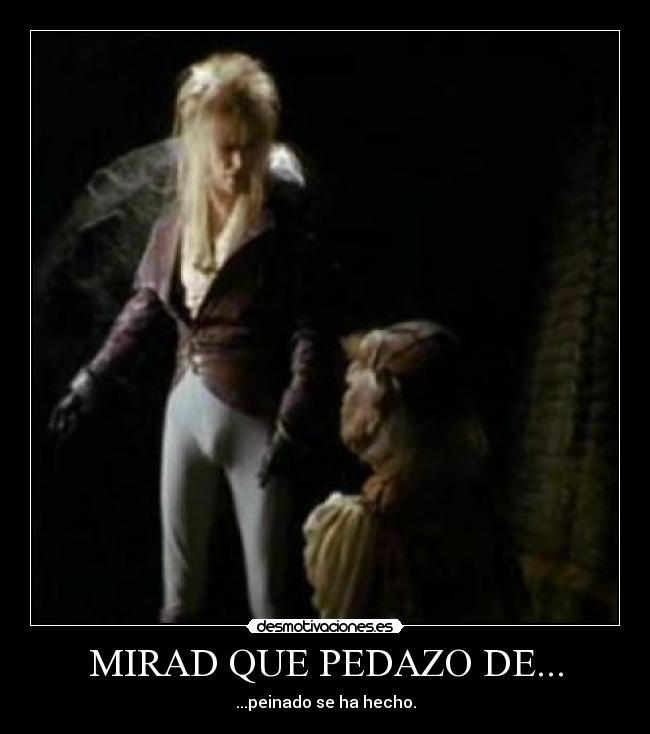 MIRAD QUE PEDAZO DE... - ...peinado se ha hecho.