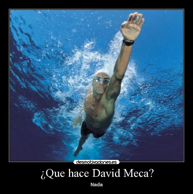 ¿Que hace David Meca? - Nada