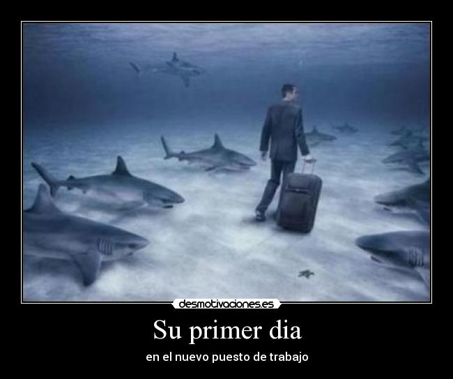 Su primer dia - 