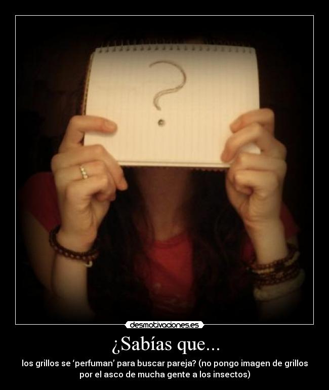 carteles insectos sabias que grillos perfumes desmotivaciones