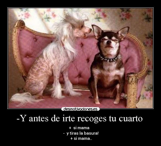 -Y antes de irte recoges tu cuarto - + si mama
- y tiras la basura!
+ si mama..