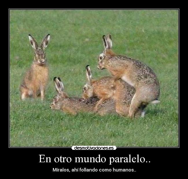 En otro mundo paralelo.. -