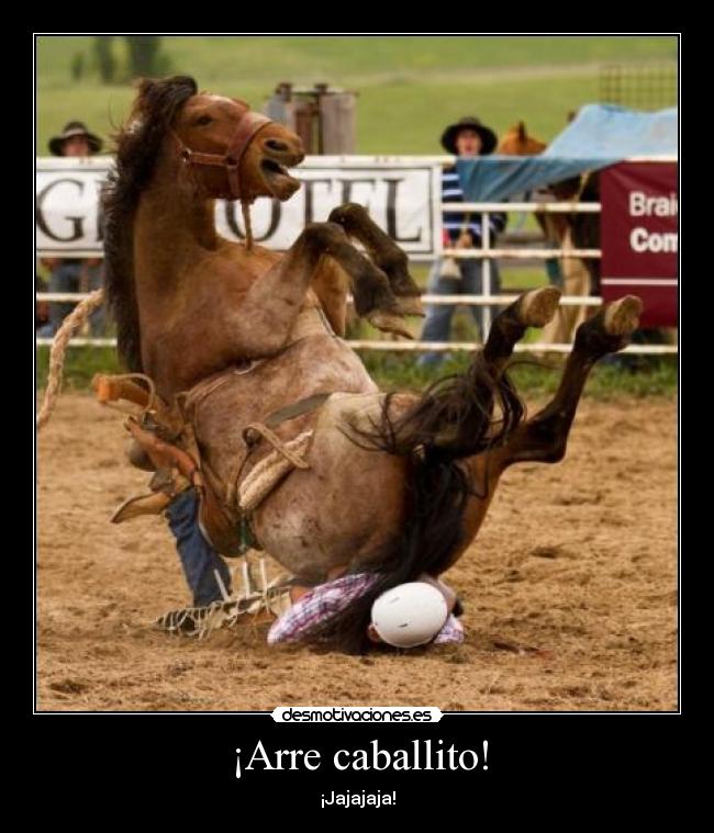 ¡Arre caballito! - ¡Jajajaja!