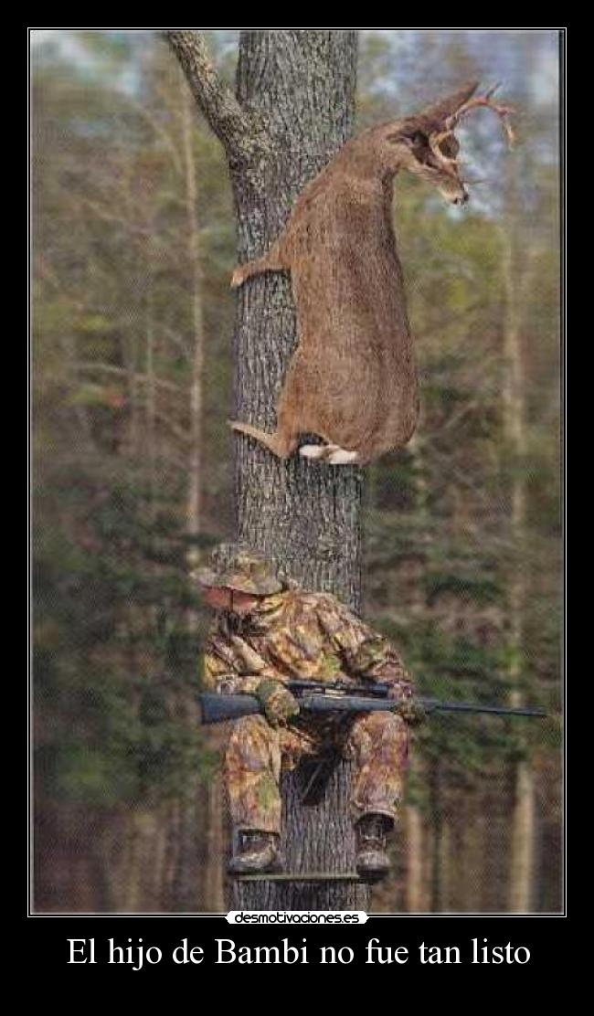 El hijo de Bambi no fue tan listo -