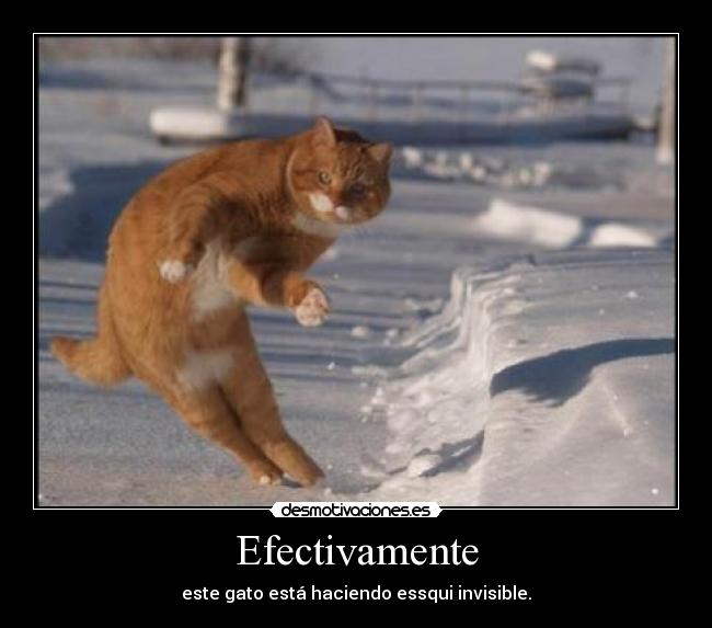 Efectivamente - 