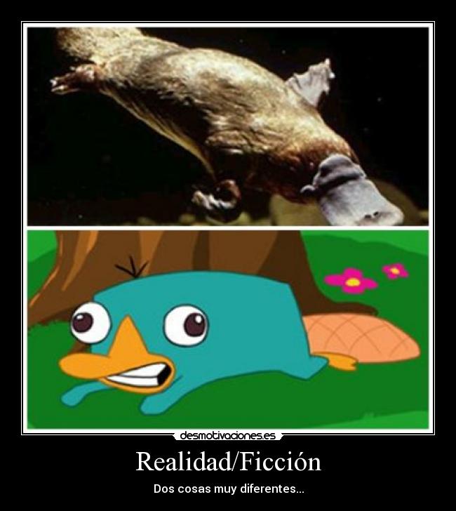 Realidad/Ficción - Dos cosas muy diferentes...