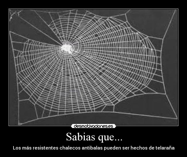 Sabias que... - 