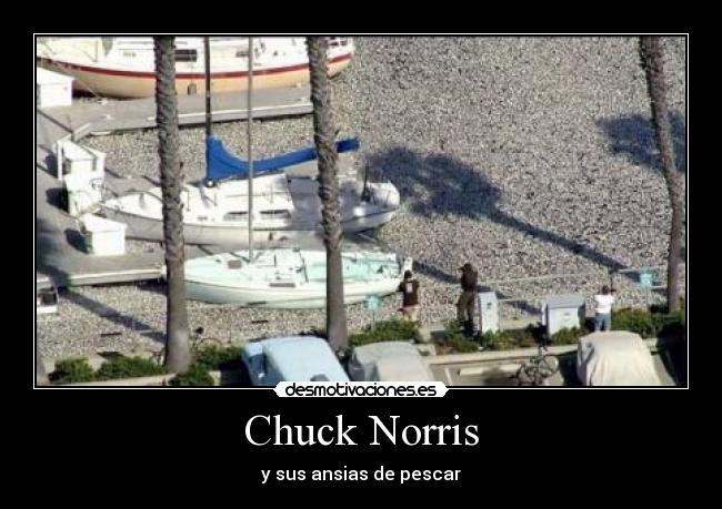 Chuck Norris - 