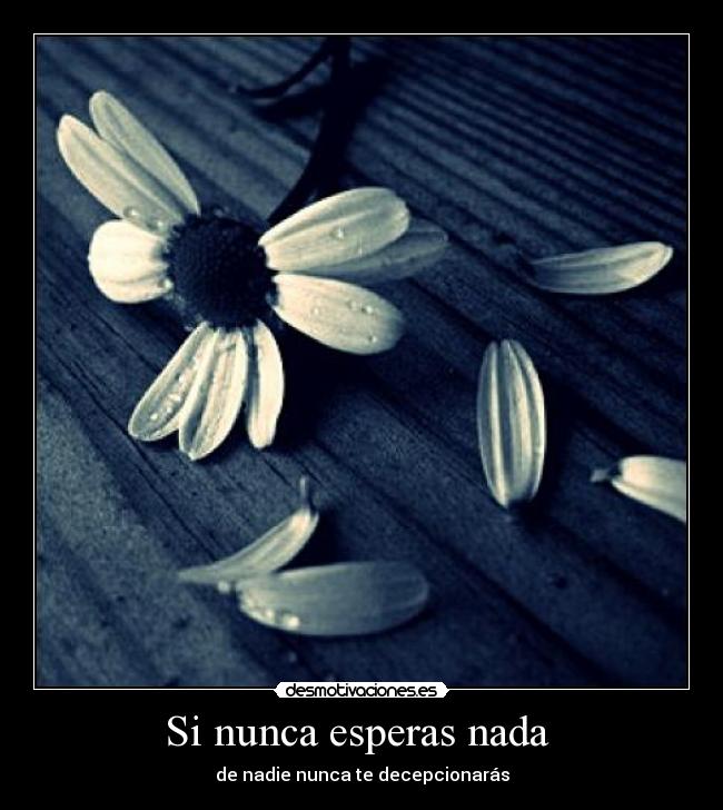 Si nunca esperas nada -