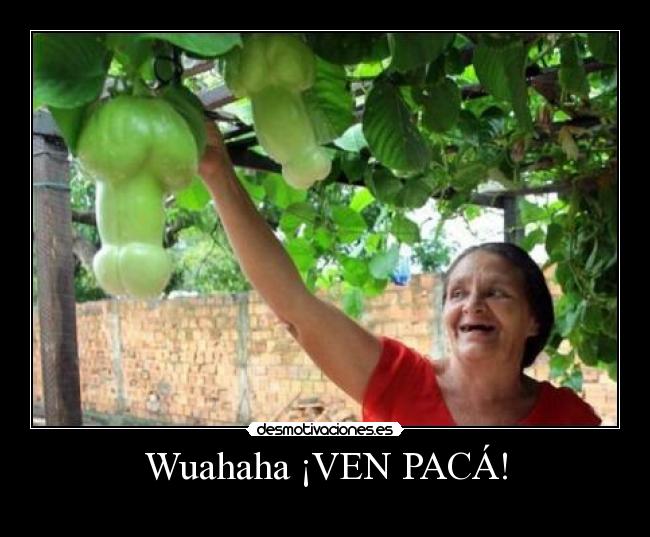 Wuahaha ¡VEN PACÁ! -