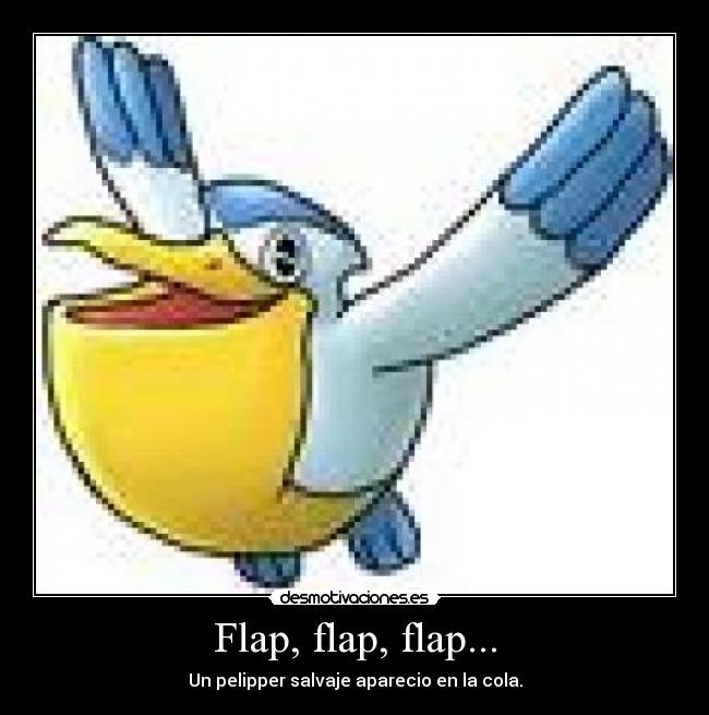 Flap, flap, flap... - Un pelipper salvaje aparecio en la cola.