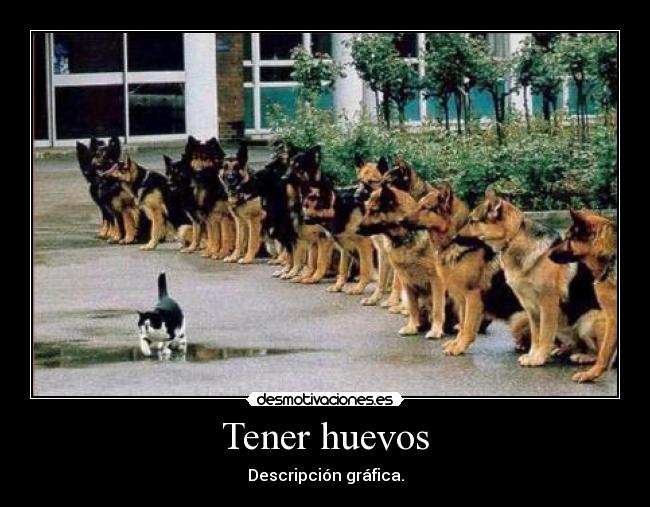 Tener huevos - Descripción gráfica.