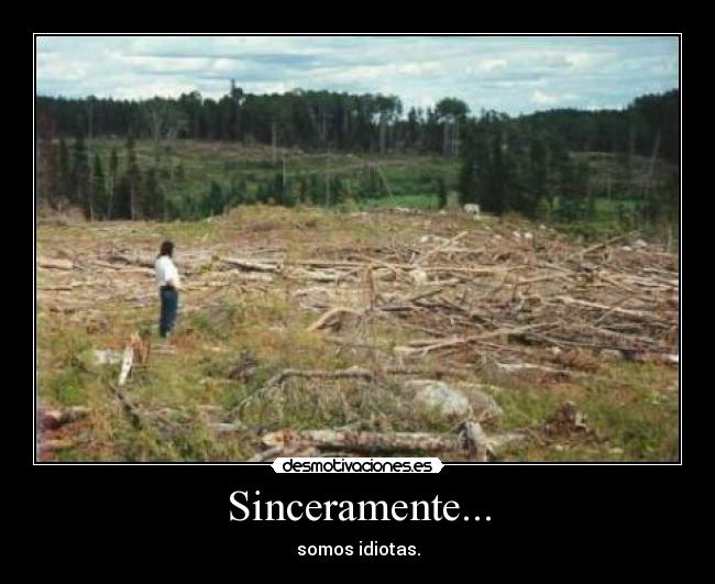 carteles kairi13 desmotivaciones