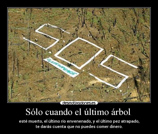 Sólo cuando el último árbol  - esté muerto, el último río envenenado, y el último pez atrapado,
te darás cuenta que no puedes comer dinero.