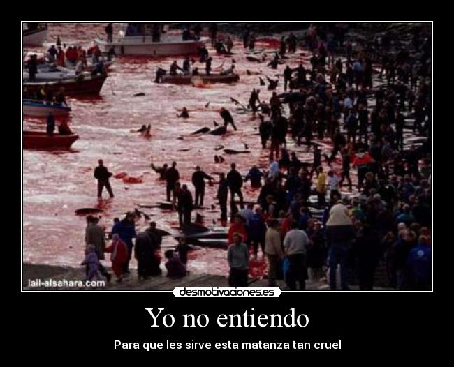 Yo no entiendo - Para que les sirve esta matanza tan cruel