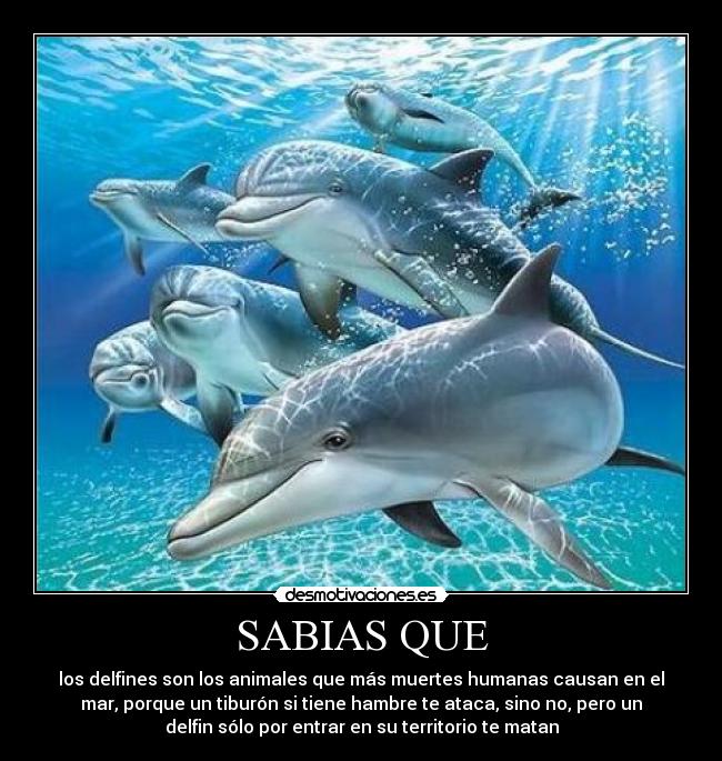 SABIAS QUE -