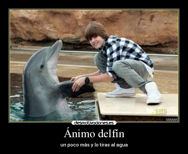 Ánimo delfín -