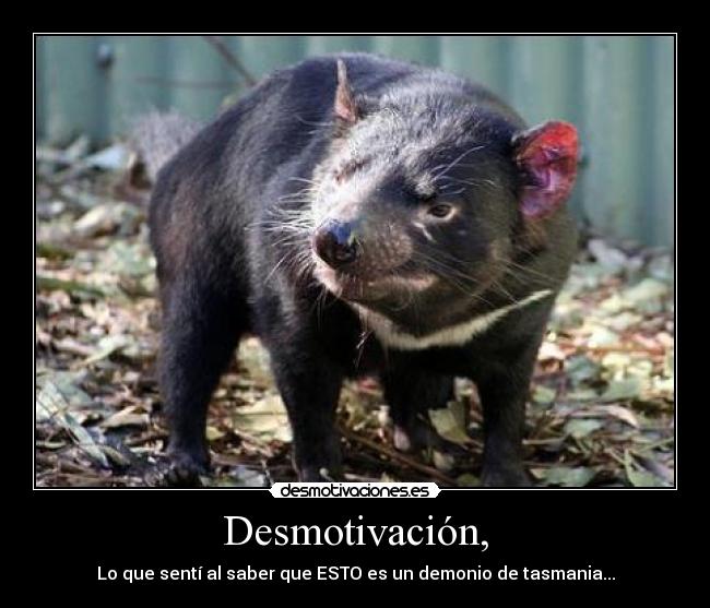 Desmotivación, -