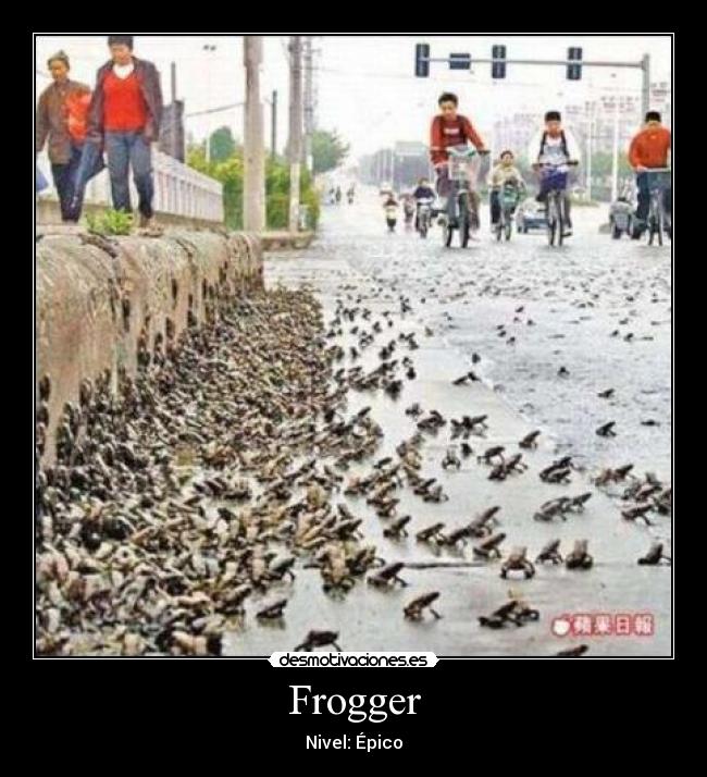Frogger - Nivel: Épico