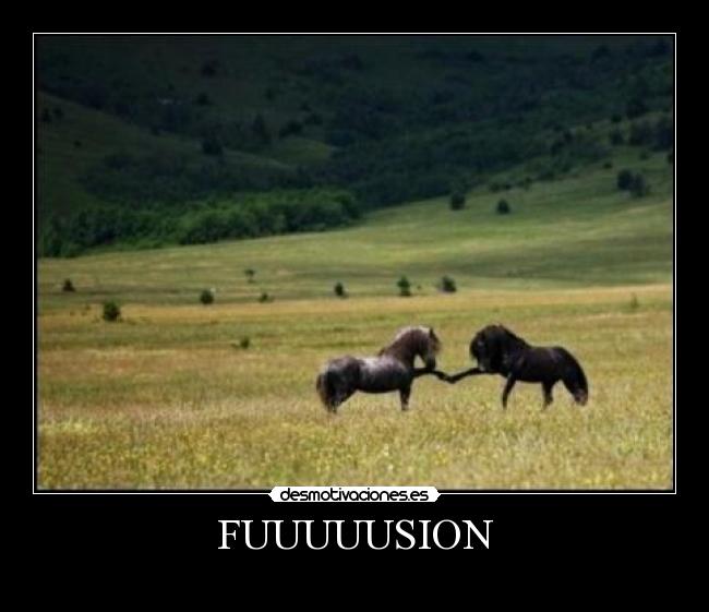 FUUUUUSION -