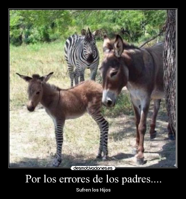 Por los errores de los padres.... - 