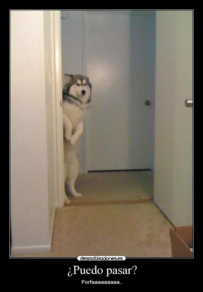 ¿Puedo pasar? - Porfaaaaaaaaa..