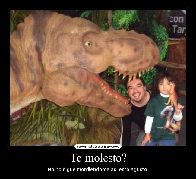Te molesto? - No no sigue mordiendome asi esto agusto