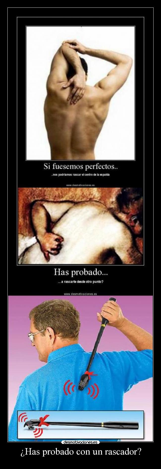 carteles pitgrif desmotivaciones