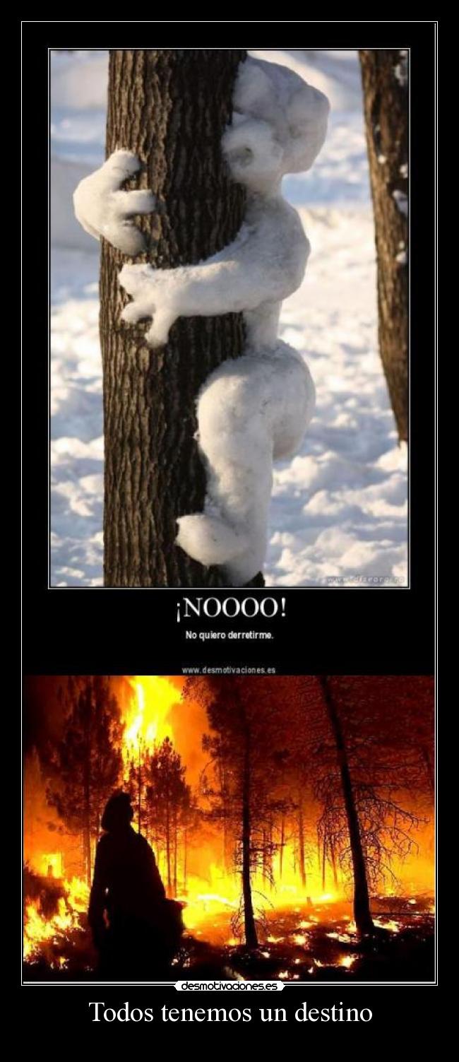 Todos tenemos un destino - 