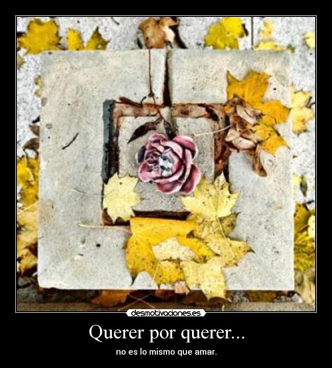 Querer por querer... - no es lo mismo que amar.