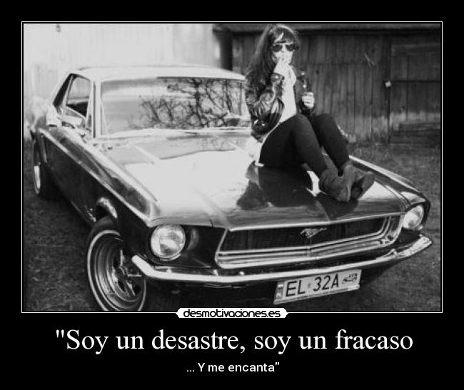 carteles dog dead desastre fracaso encanta desmotivaciones