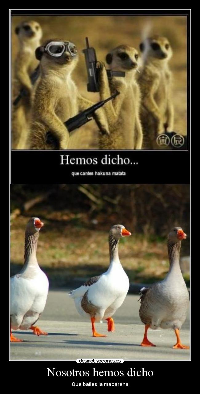 Nosotros hemos dicho - 