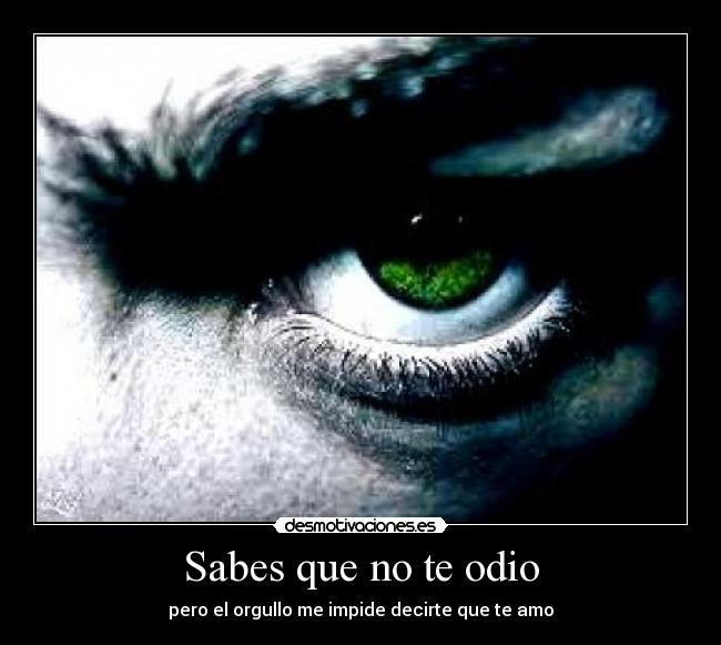 Sabes que no te odio - pero el orgullo me impide decirte que te amo