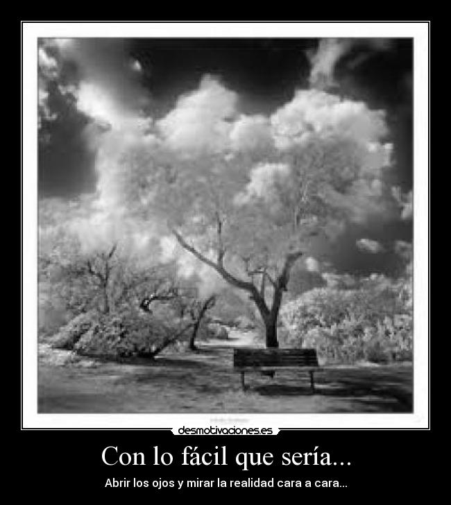 Con lo fácil que sería... - Abrir los ojos y mirar la realidad cara a cara...