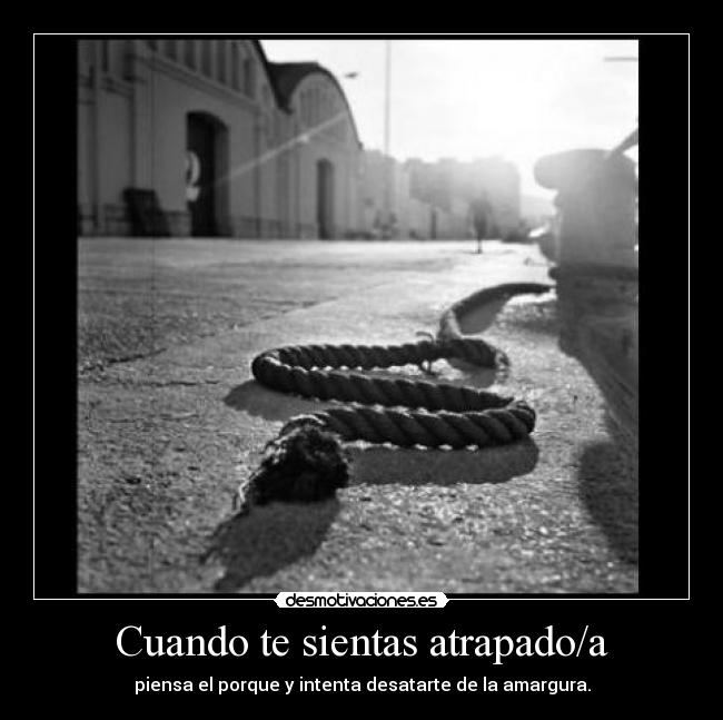 carteles momentos infelices desmotivaciones